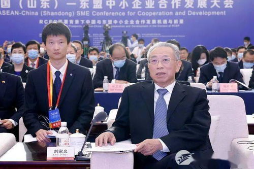中國山東-東盟中小企業(yè)合作發(fā)展大會(huì)在濟(jì)開幕，推動(dòng)軟件應(yīng)用深化經(jīng)貿(mào)合作